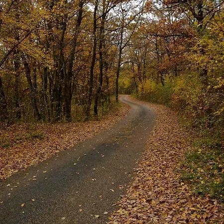 호텔 Cseri Kastelyszallo Tótvázsony