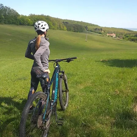 호텔 Cseri Kastelyszallo Tótvázsony