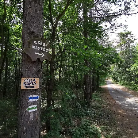 Cseri Kastelyszallo 3* Tótvázsony