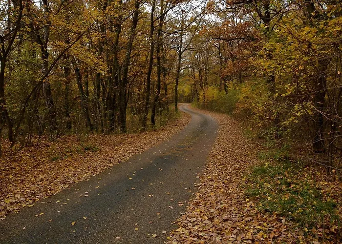Hotel Cseri Vendeghaz Tótvázsony
