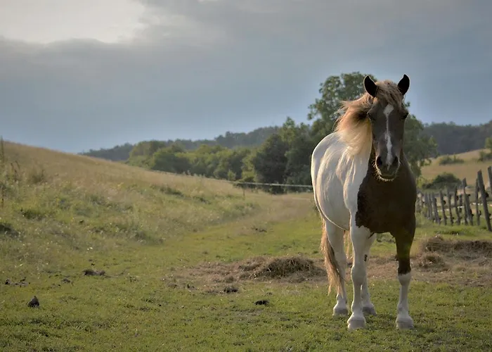 Cseri Vendeghaz Hotel 3*